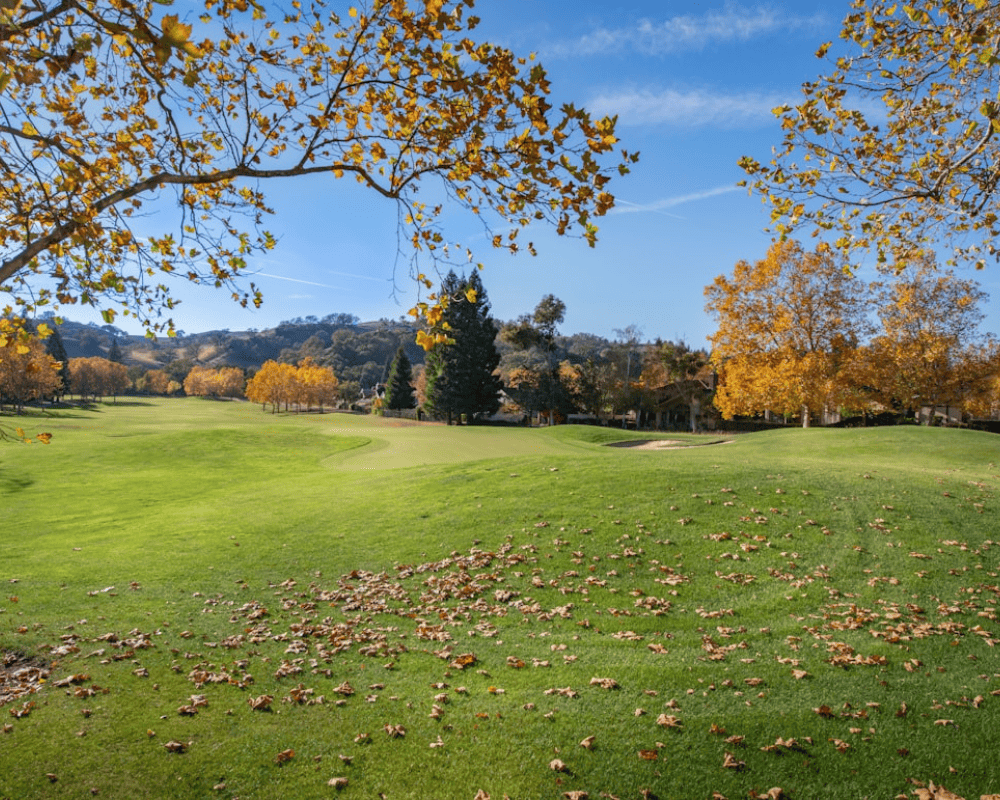 Maximizing Profits with Strategic ATM Placement