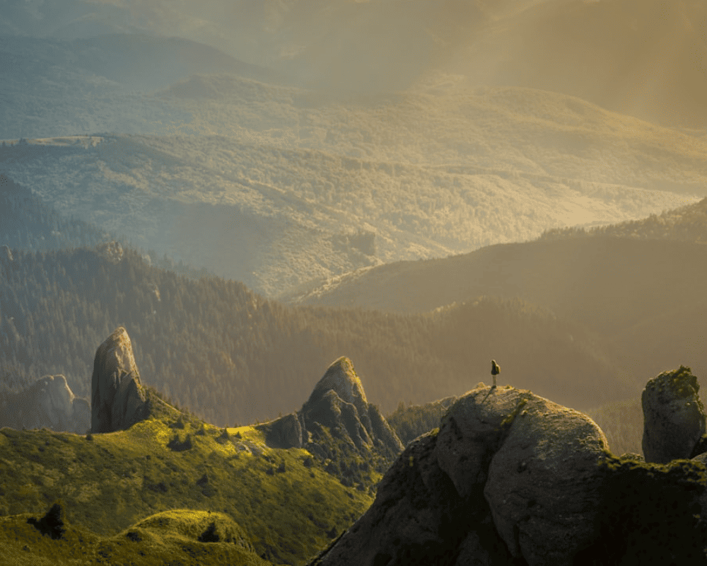 Optimizing ATM Placement with Professional Services