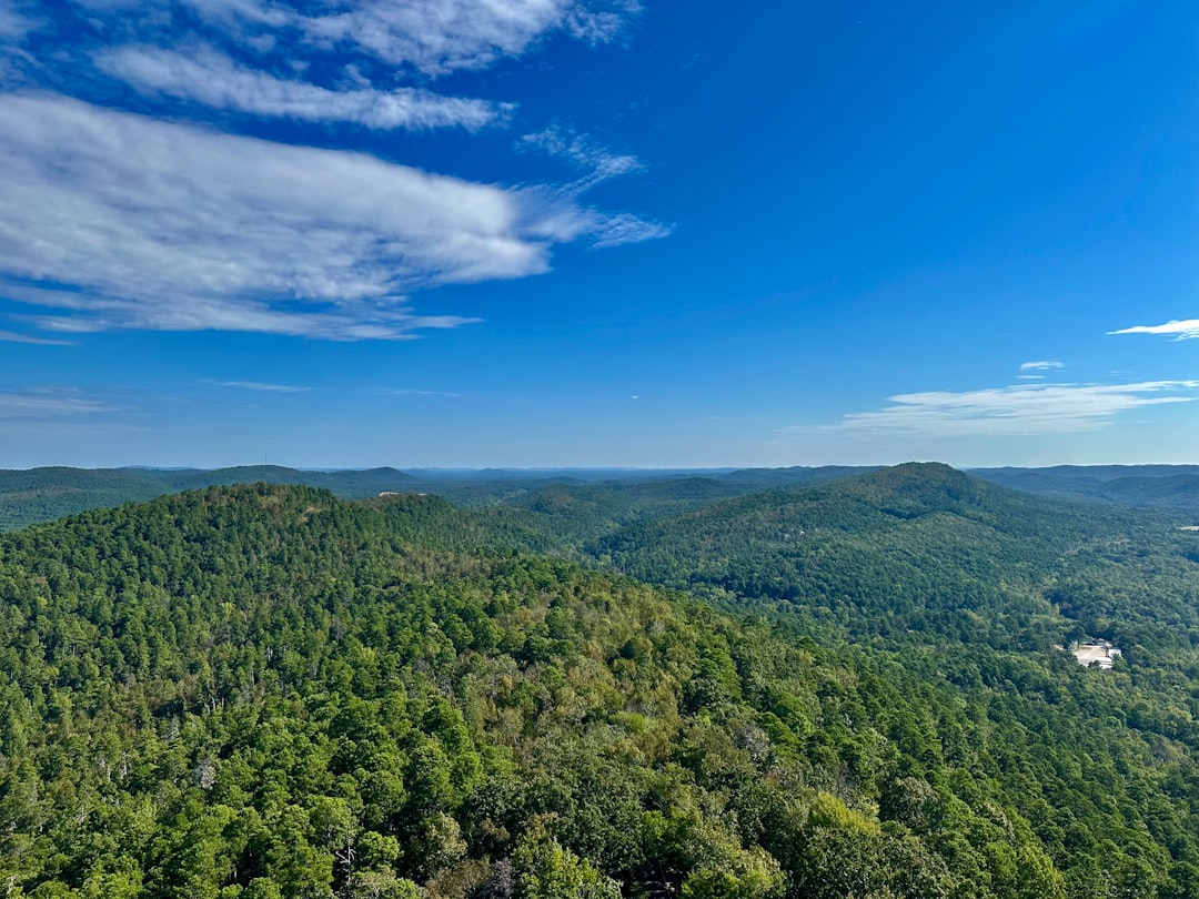 Photo Arkansas nature backdrop