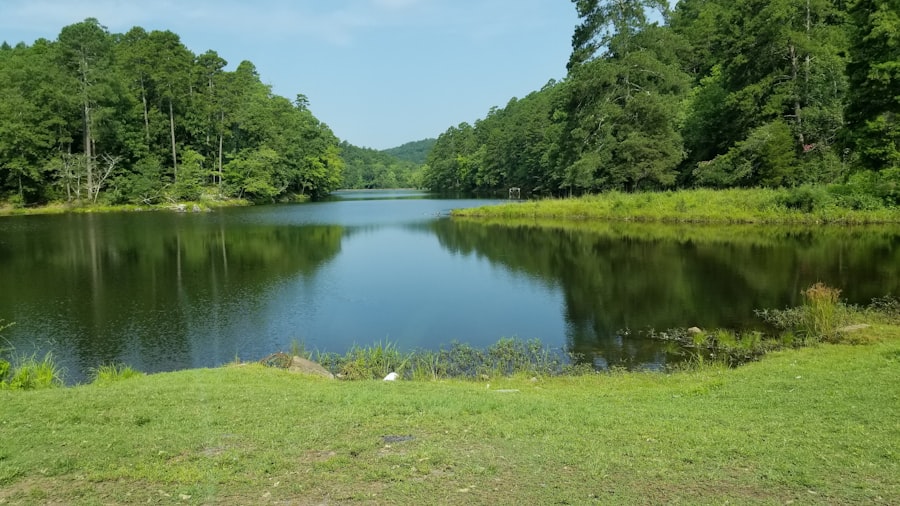 Photo Arkansas nature backdrop
